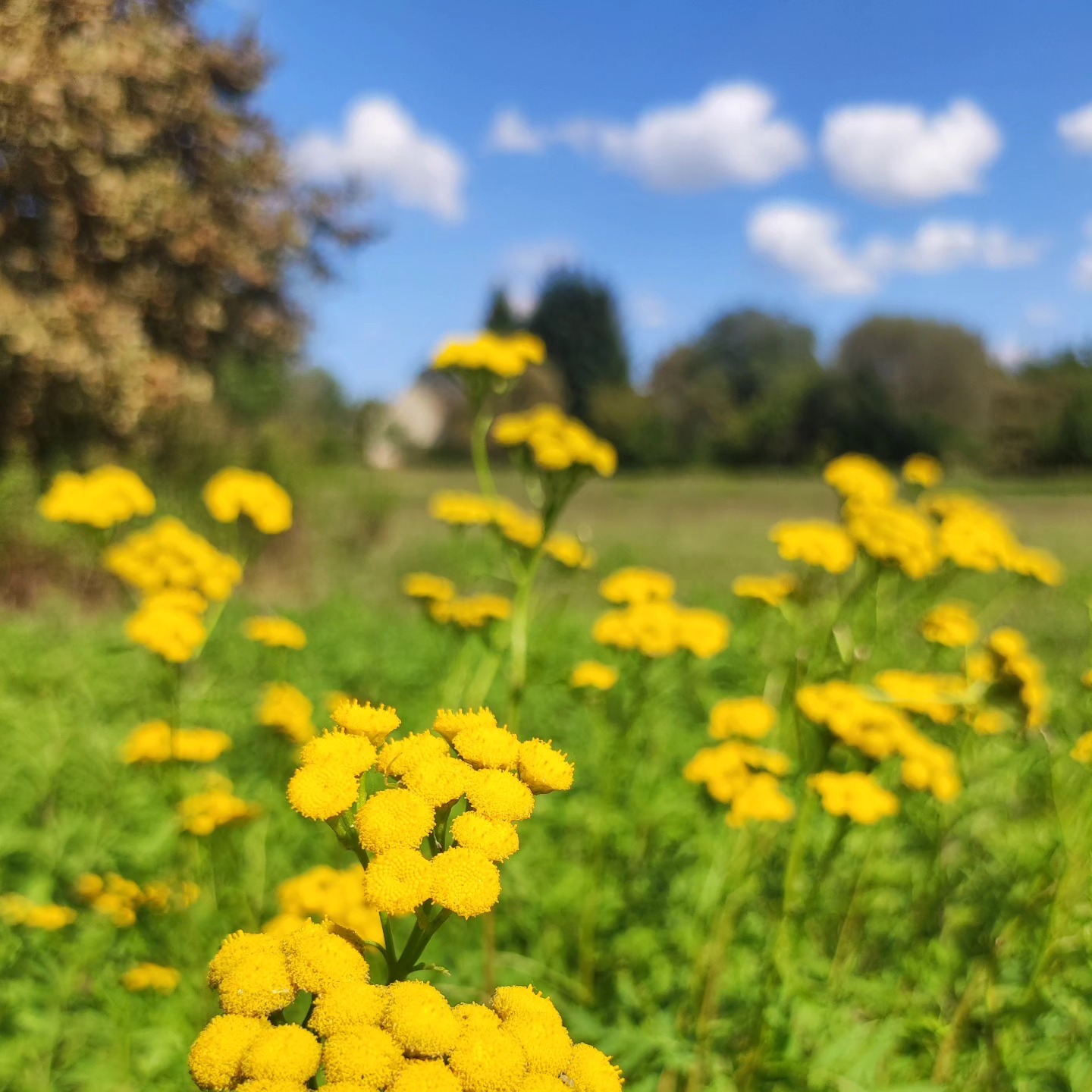Mabon időszaka